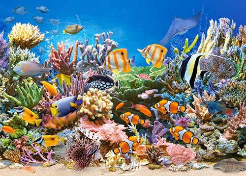 Castorland拼圖|300片以下